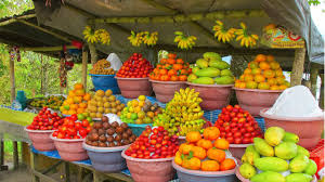 A  implementação do projeto de fruticultura no Vão do Paraná visa justamente a melhoria de vida de famílias na região Nordeste de Goiás