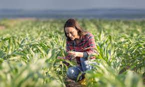 Novas Tecnologias aplicadas ao agronegócio 