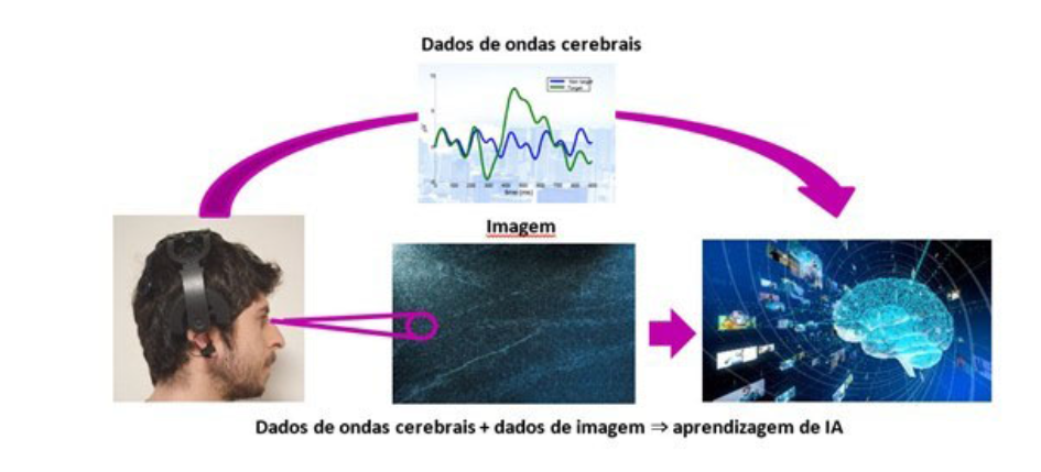 Teste demonstre potencial de uso de sinais neurais na identificação de plantas doentes - Foto: Macnica DHW